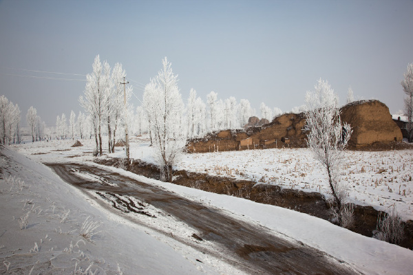 20091128-IMG_1783