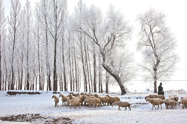 20091128-IMG_1813_