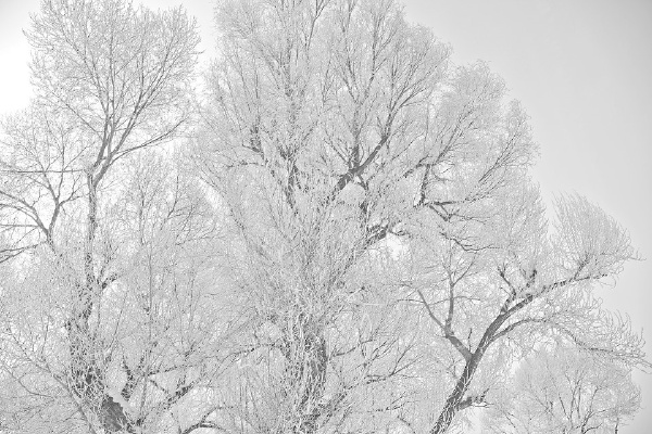 20091128-IMG_1828_