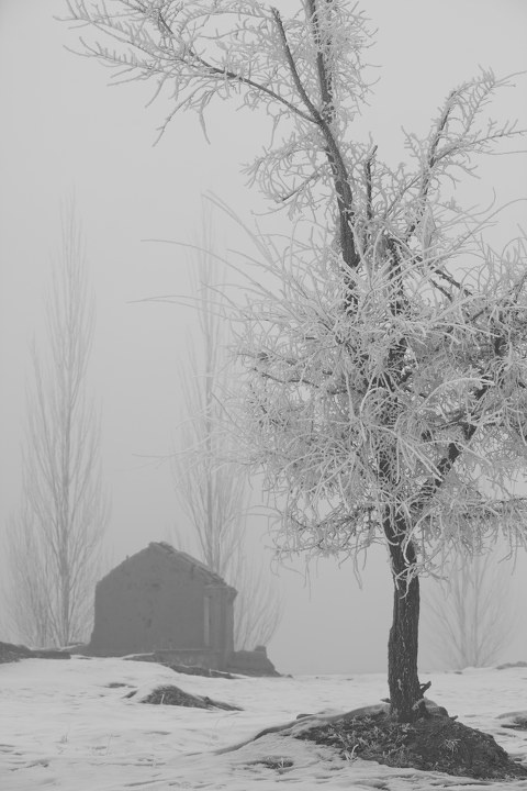 20091129-IMG_2003