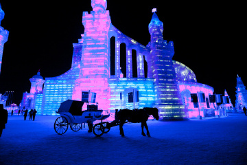 20120114-IMG_1228