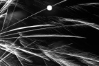 20120206-IMG_3070-7