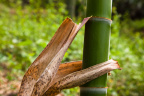 20110501-IMG_1336