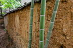 20110501-IMG_1342