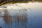 20120407-IMG_3814