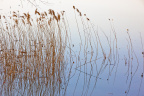 20120407-IMG_3816