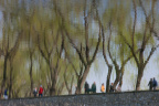20120407-IMG_3864