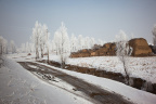 20091128-IMG_1783