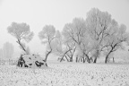 20091128-IMG_1801