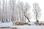 20091128-IMG_1813_