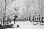 20091128-IMG_1818