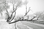 20091128-IMG_1821_