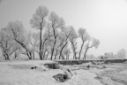 20091128-IMG_1826
