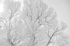20091128-IMG_1828_