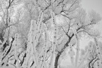 20091128-IMG_1829_
