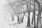 20091129-IMG_1992