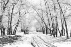 20091129-IMG_2138