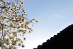 1花の舞
