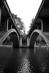 _DSC0049