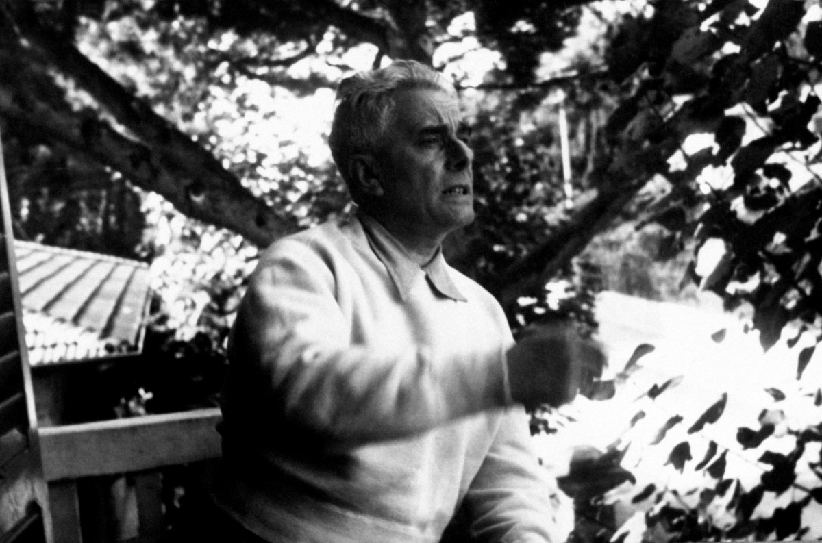 每一朵小花都有她美丽的一面,就像每一个女孩