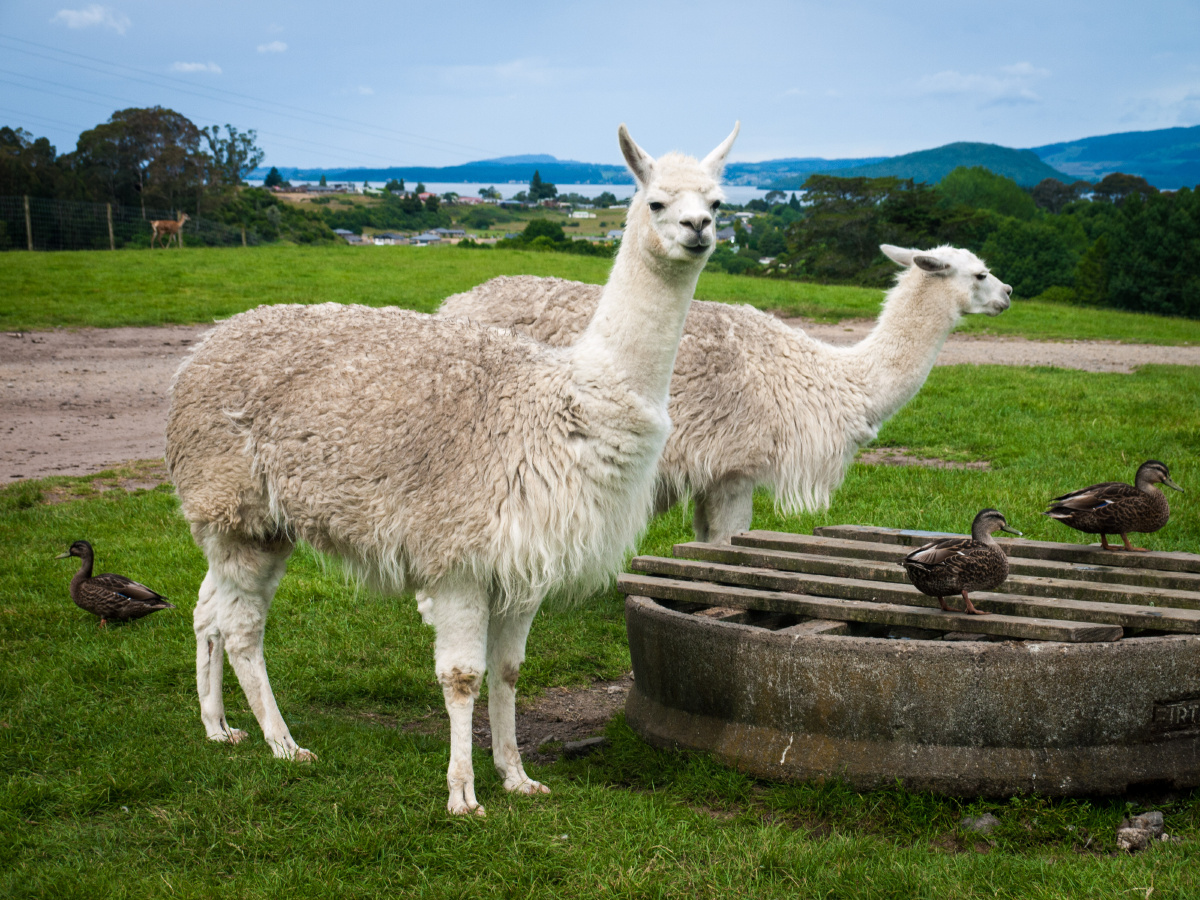 高帅富,白富美,普通,以及文艺草泥马~ - 晖晖Av
