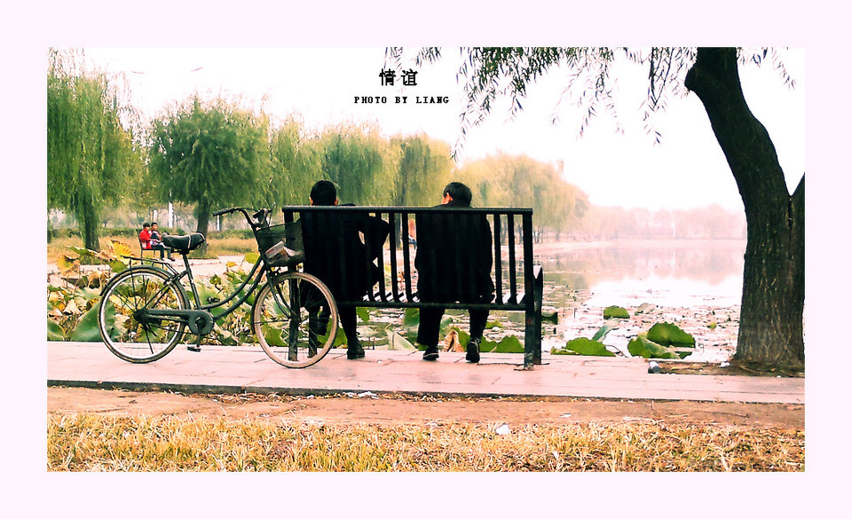 情谊 - 闲庭蛮步校园的秋天 - liangliang - 图虫摄影网