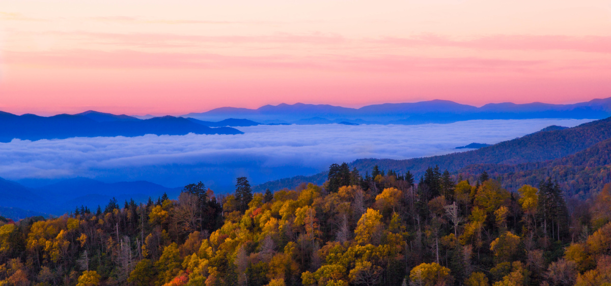 雾山追秋 - 风光, 旅行 - 闫思益 - 图虫摄影网