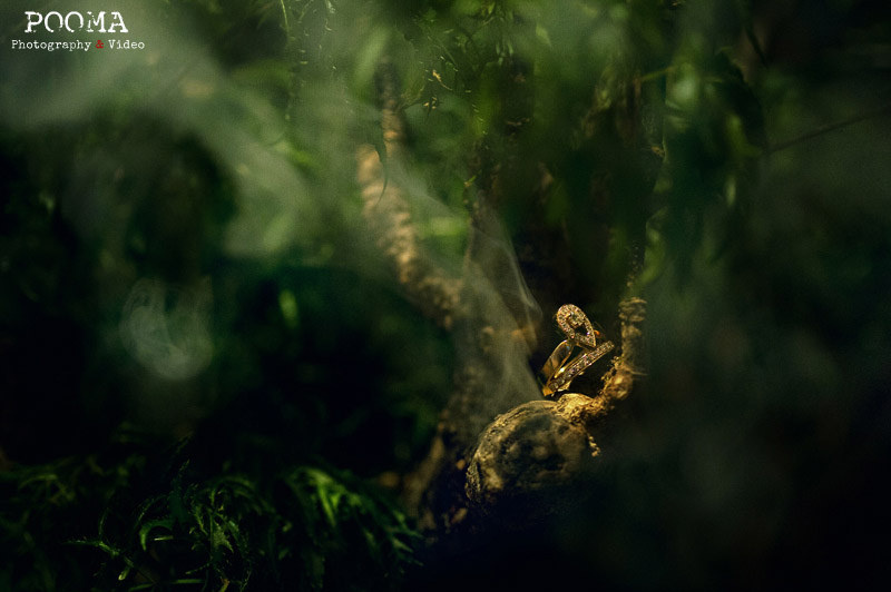 East东方红酒窖,梦幻东方美 - 卜马