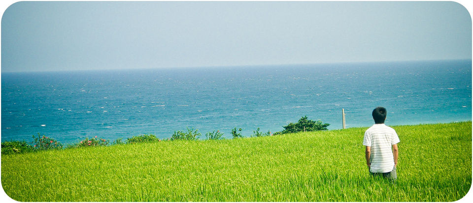 有没有很像莉莉周! - 碎梦大道 - @玲子