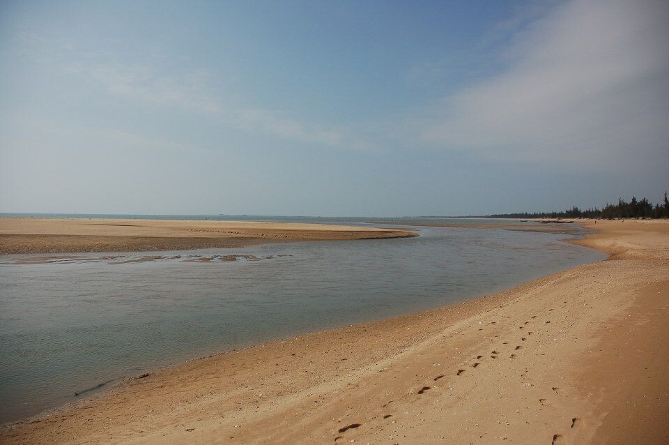 沙粒海鲜卷_沙粒肿图片_湛江海鲜