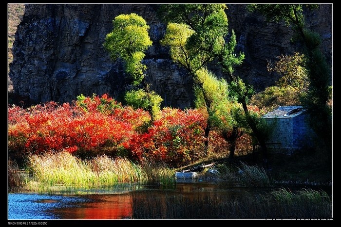 京郊秋色 - play_g