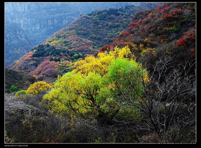 京郊秋色 - play_g