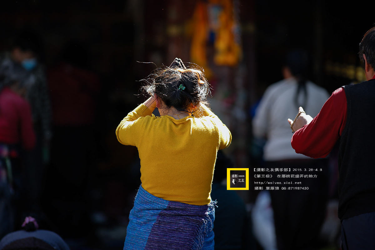 大昭寺之二(第三极) - 人文, 西藏, 大昭寺, 草原狼