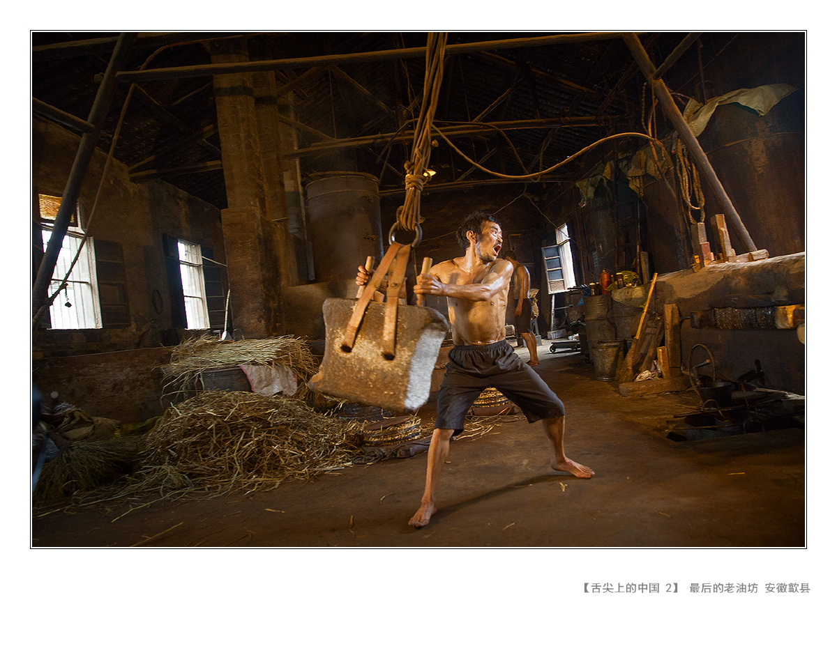 老油坊的故事044 - 草原狼