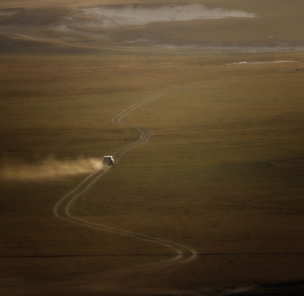 行走的眼睛 6094118.jpg