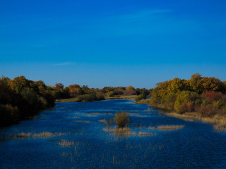 摄于岛上,黑瞎子岛与银龙岛间水道。