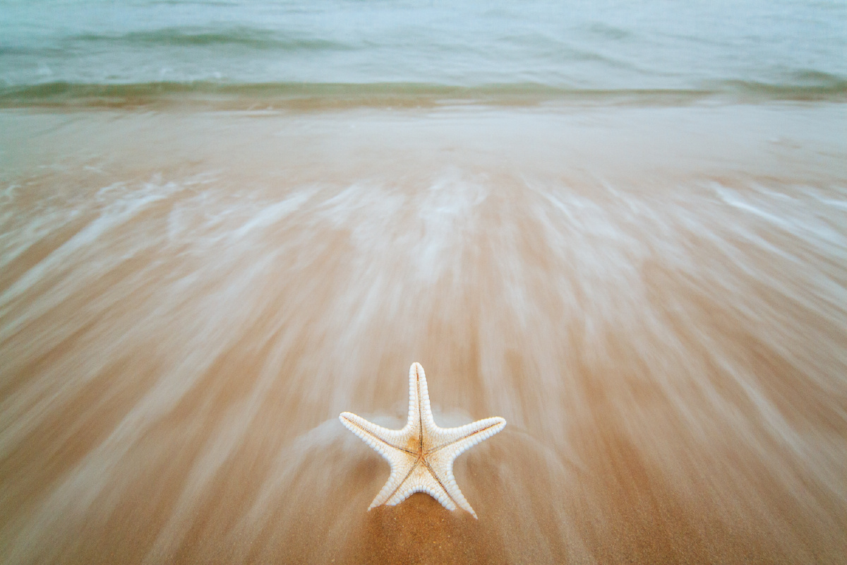 我想我是海 冬天的大海 - 风光, 自然, CAPA201