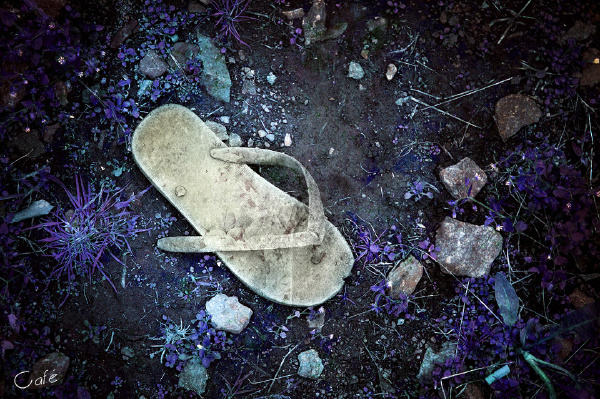一只，嗯，破鞋。