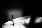 IMG_9067.JPG