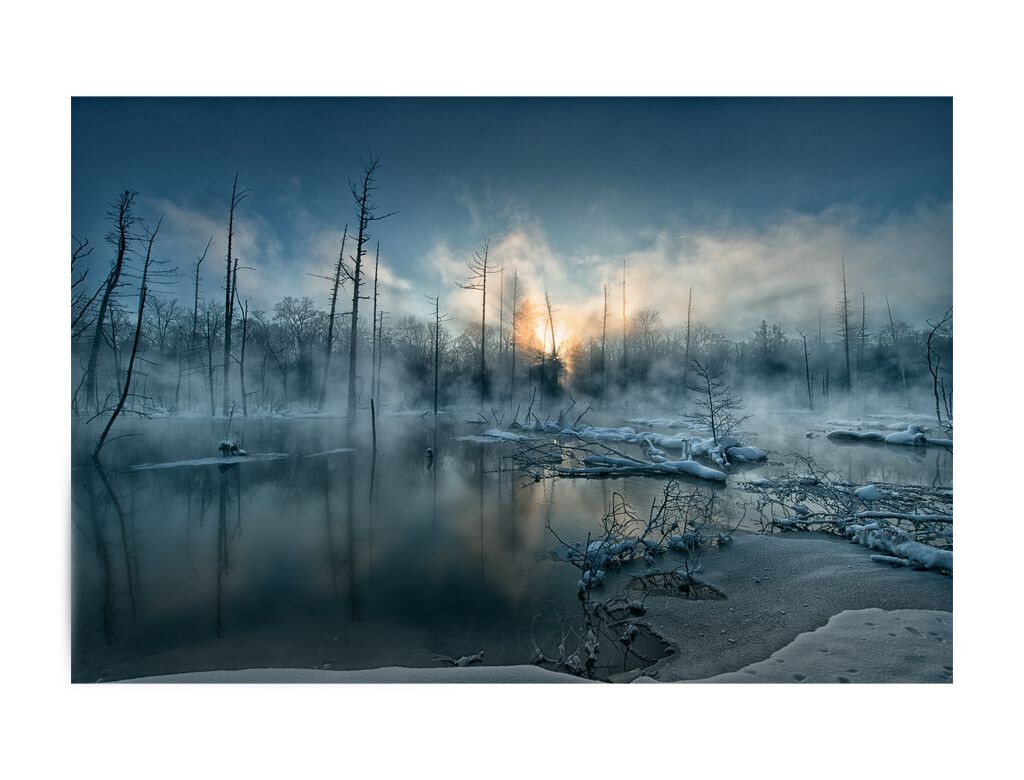 lost world 2 ڳɽħ 