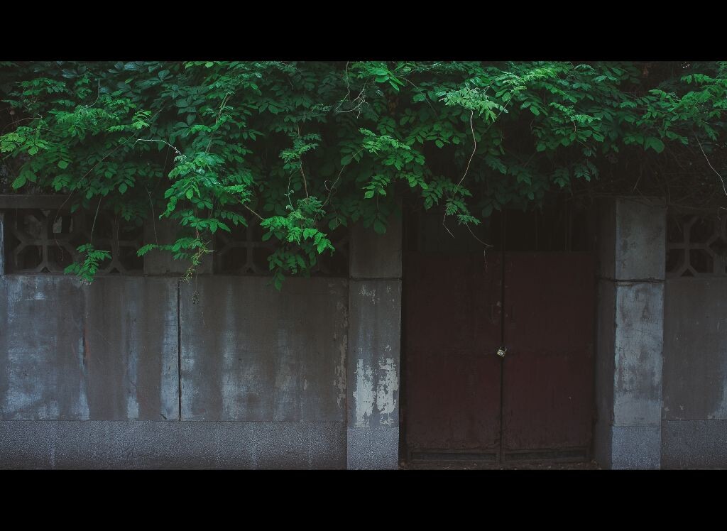 晚上下雨天开车图片,下雨天,唯美下雨天_点力图库