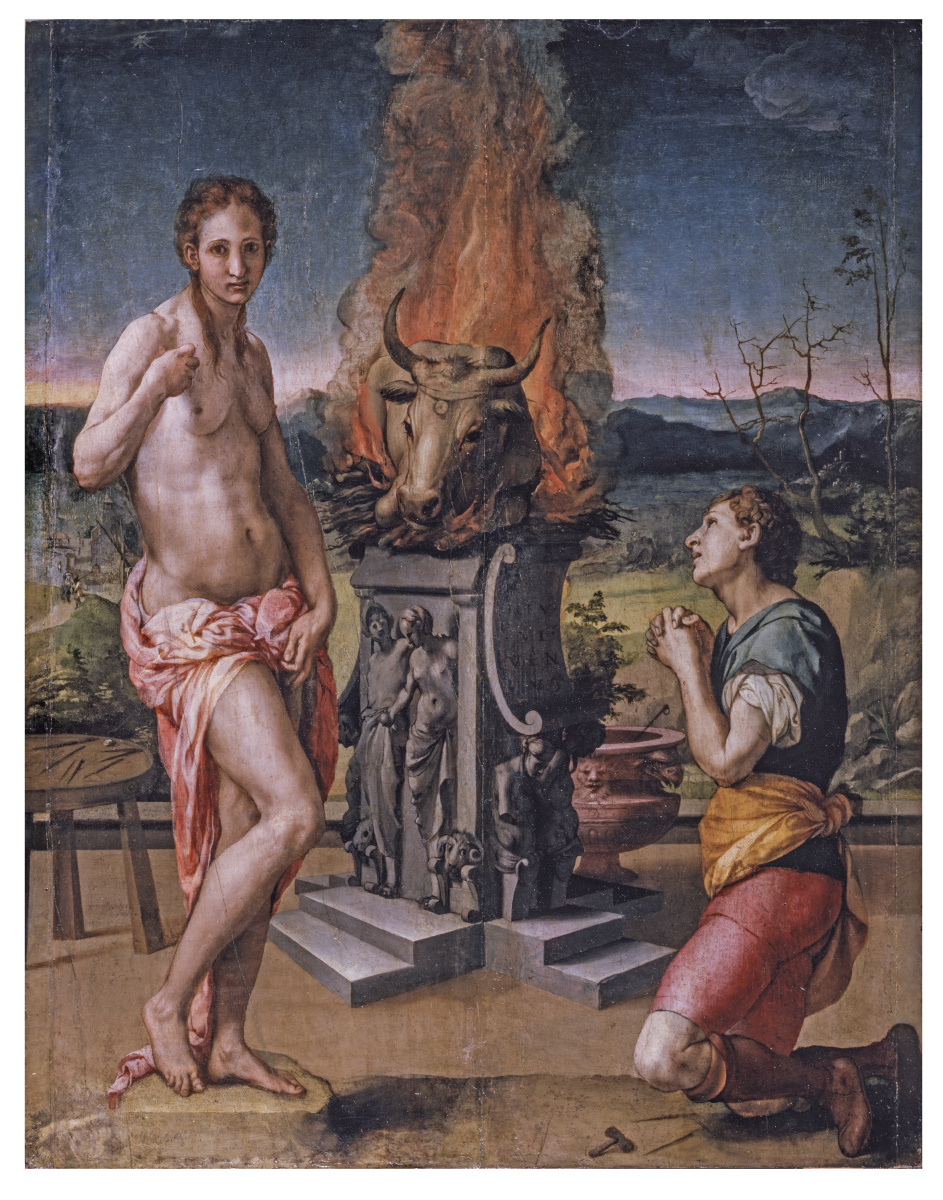 青橄榄+-+图虫摄影网