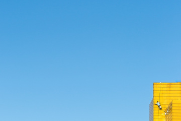 华盖创意_华盖创意 收入(3)