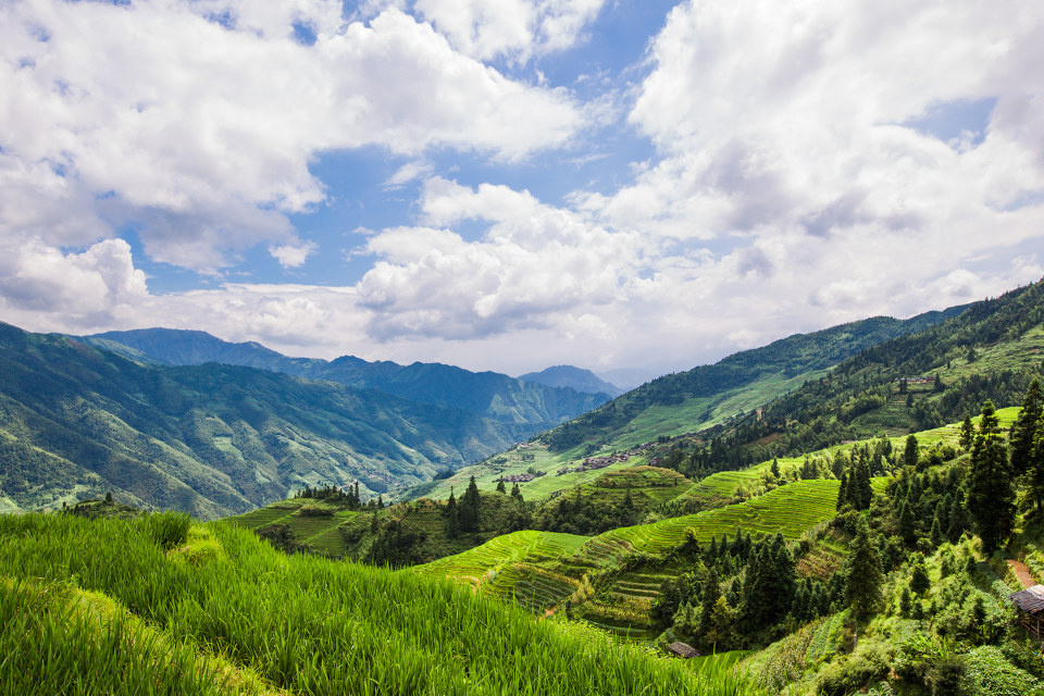 桂林梯田 - 风光 - 海水鱼