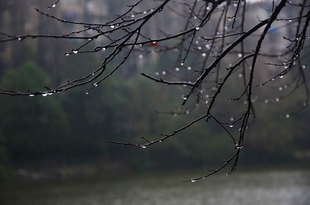 {冬天的雨的作}.