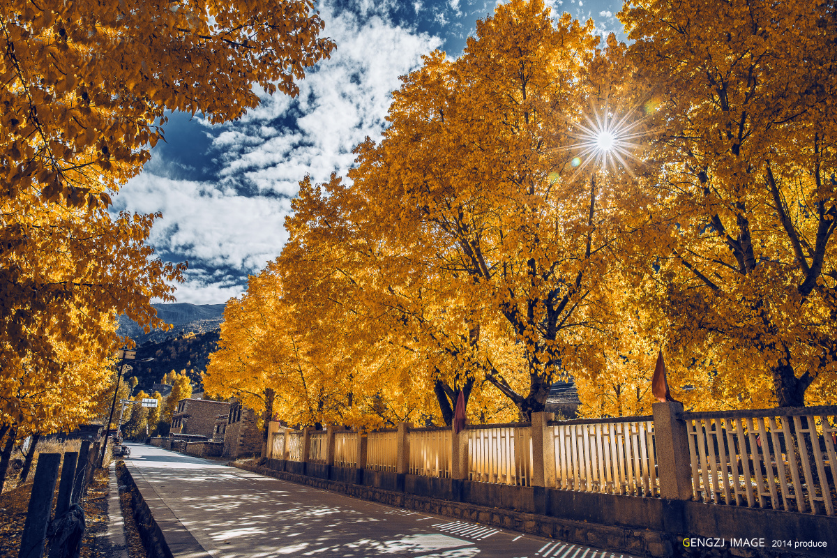新都桥土豪金的秋天 - 风光, 色彩, 新都桥, 后期, 旅行 - 耿贞娟.exe - 图虫摄影网