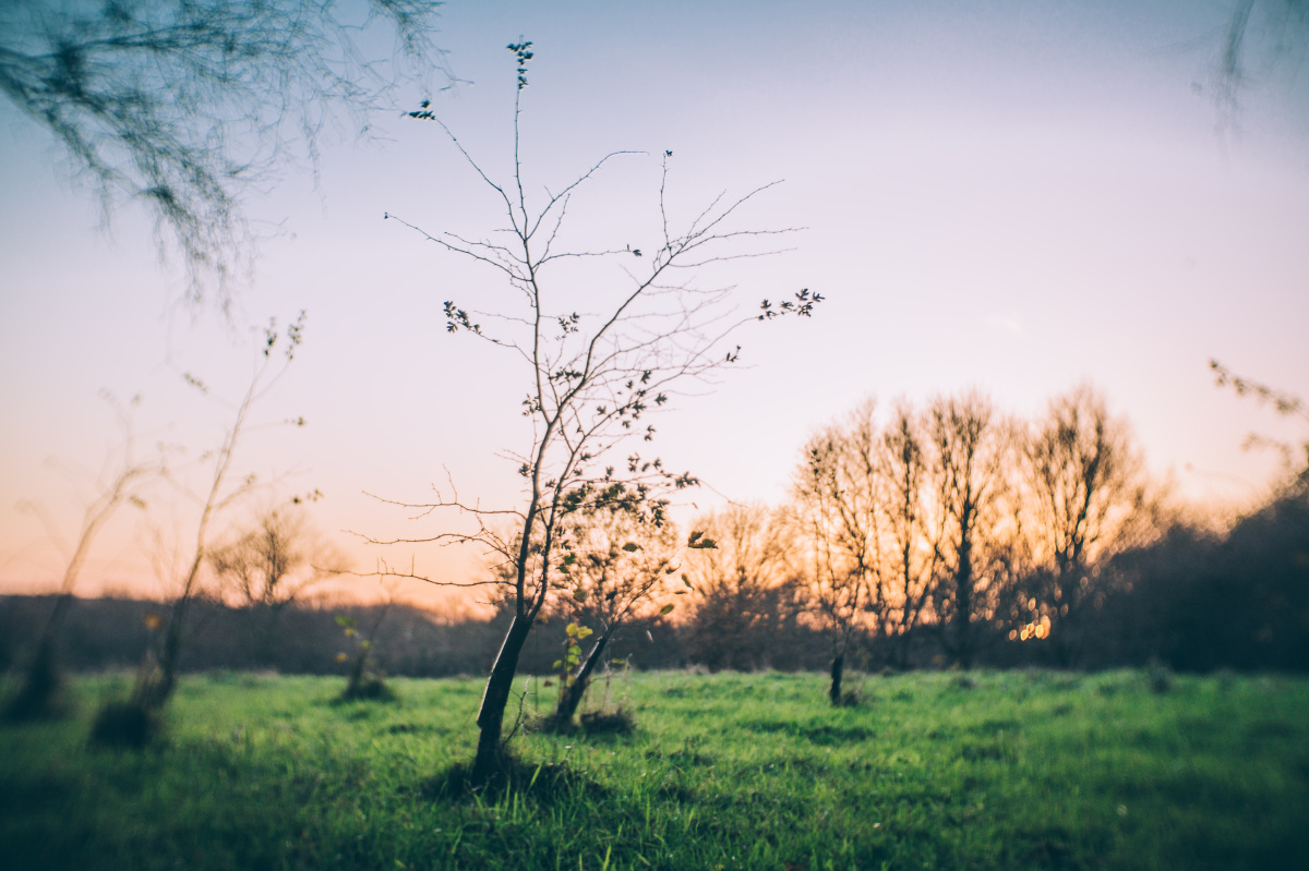 Nightfall in Canterbury - 色彩, 风光, QX1, 英国 -