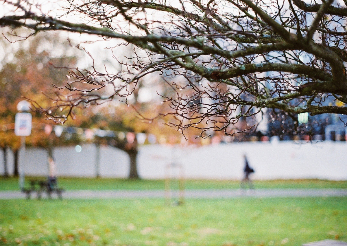 Bokeh test for Minolta AF50 1.7 @α sweet, un