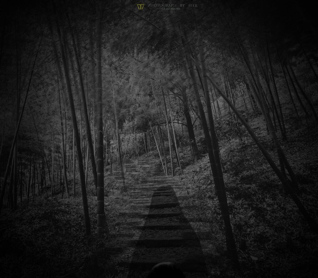 山路夜行人