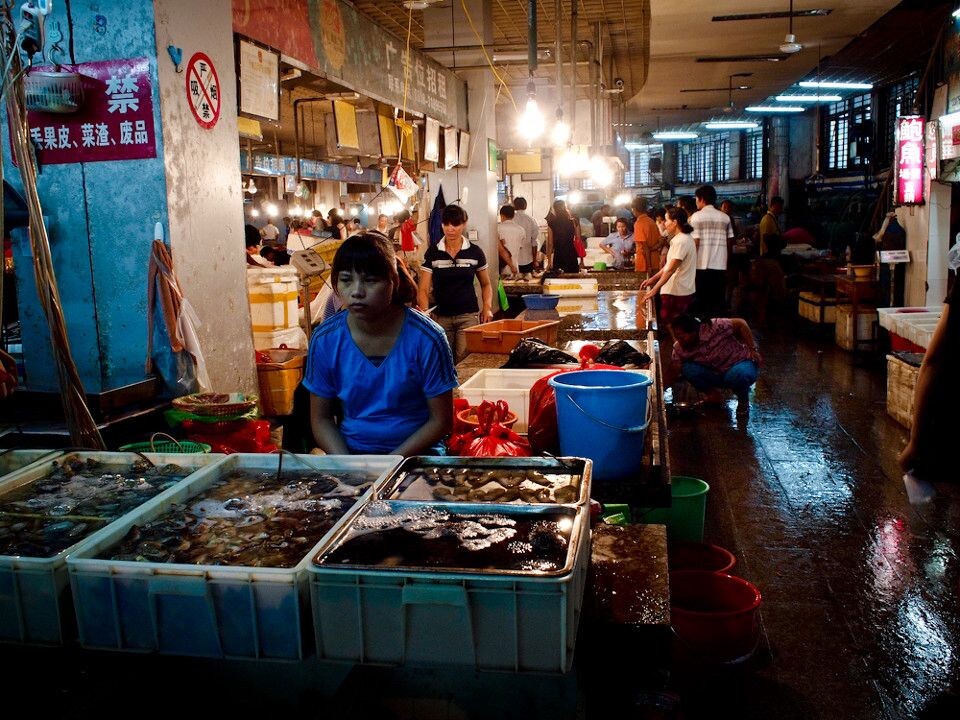 三亚海鲜图片_三亚海鲜市场_海鲜小炒